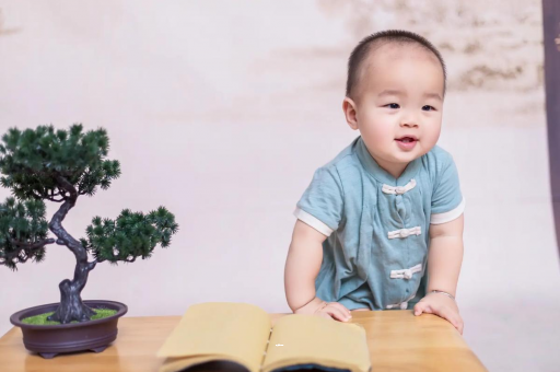 新乡可爱的企鹅宝宝